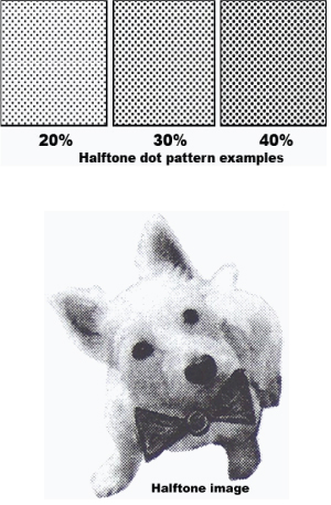 dog-and-halftones